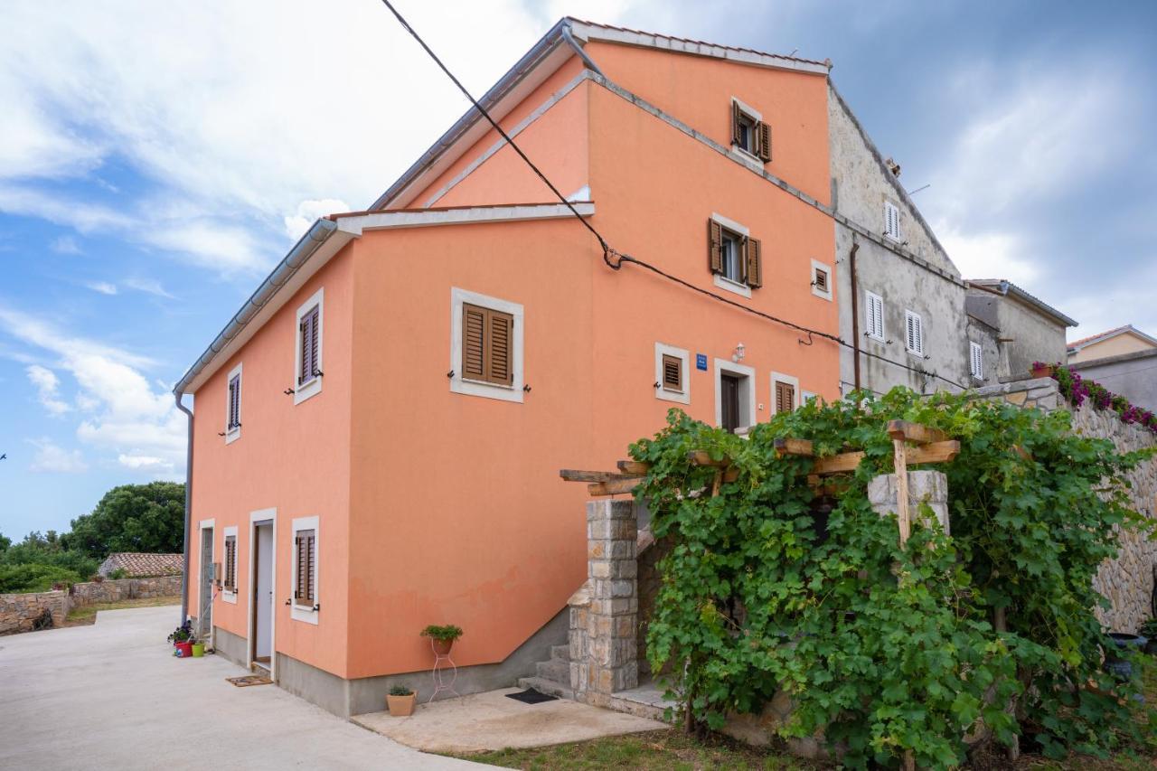 Jurasic Apartment Orlec